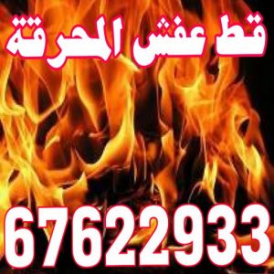 قط عفش المحرقة