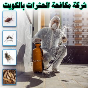 مكافحة حشرات رخيص - شركة مكافحة حشرات - بالكويت📞99663955 - مكافحة حشرا ت الكويت - حشرات الكويت - مكافحة قوارض - مكافحة بق - رش صراصير