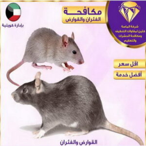مكافحة حشرات - مكافحة حشرات وقوارض - بالكويت📞99663955 - شركة حشرات - شركة مكافحة حشرات - مكافحة بق - مكافحة قوارض - مكافحة حشرات الكويت